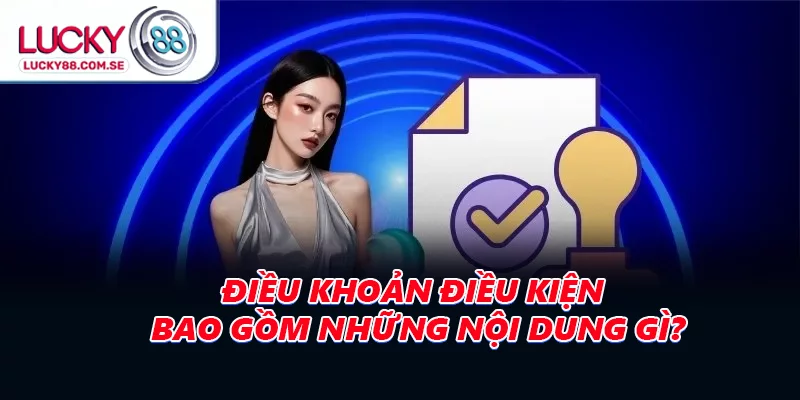 Điều khoản điều kiện bao gồm những nội dung gì?